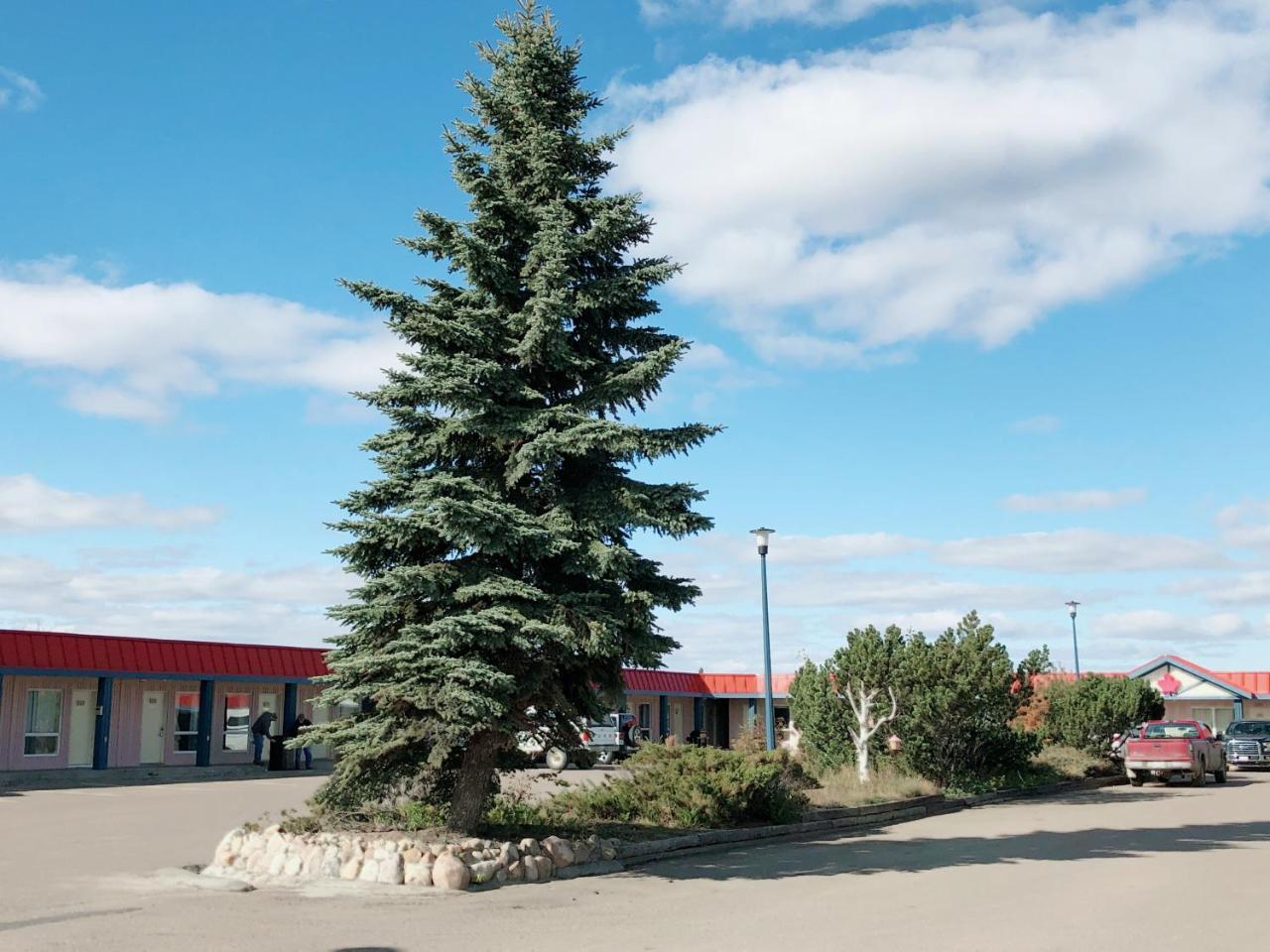 Canadian Motel ノース・バトルフォード エクステリア 写真
